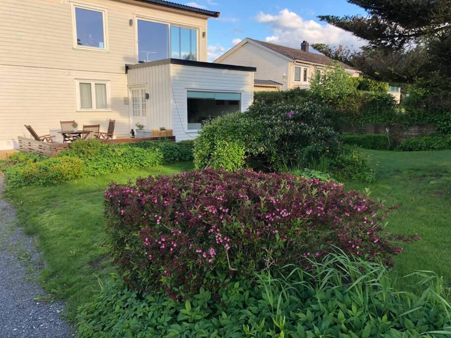 Lys Og Trivelig Leilighet I Larvik Luaran gambar